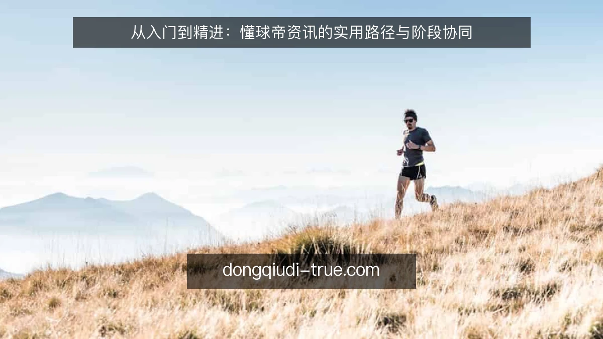 从入门到精进：懂球帝资讯的实用路径与阶段协同